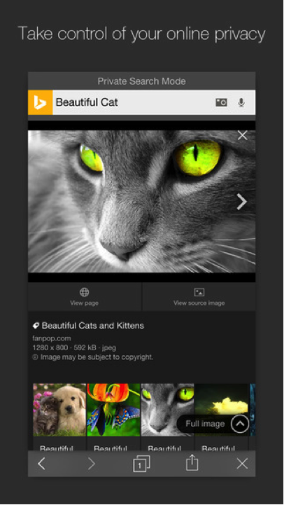 Bing’s iOS app private search mode screenshot